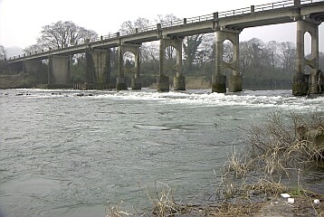 �L���Ȑ��ʂƕω��ɕx�񂾐쑊�B�@�ނꂻ���ł��I