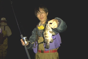 �u�����͏a���E�E�E�v�łQ�S�����f�d�s�̂ӂ��͂�����